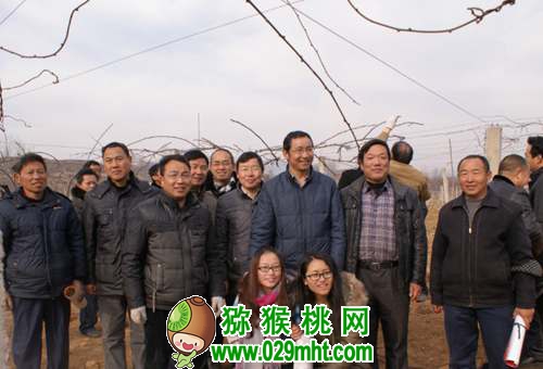 <a href=http://www.linux-china.com/shanximihoutao/ target=_blank class=infotextkey />陕西豪门国际猕猴桃</a>首席科学家刘占德