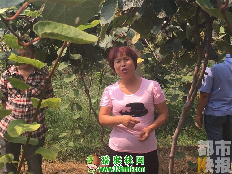 豪门国际官方网站图片