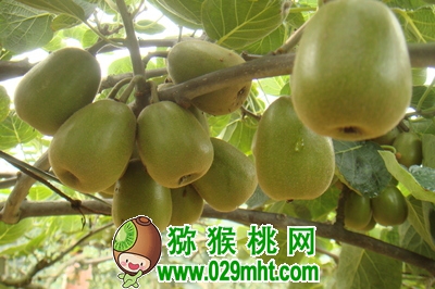 豪门国际官方网站图片