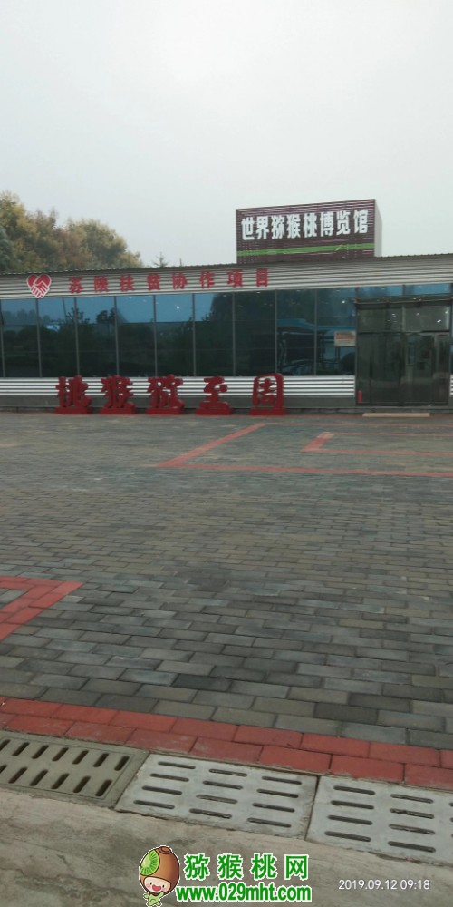 豪门国际 3d336