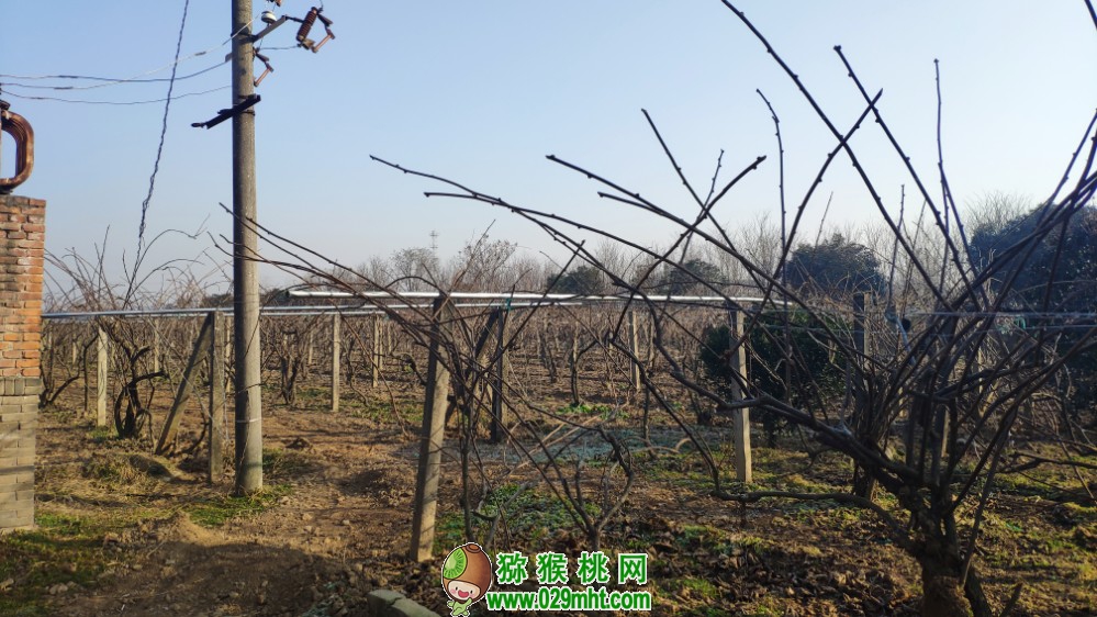 豪门国际 f624b