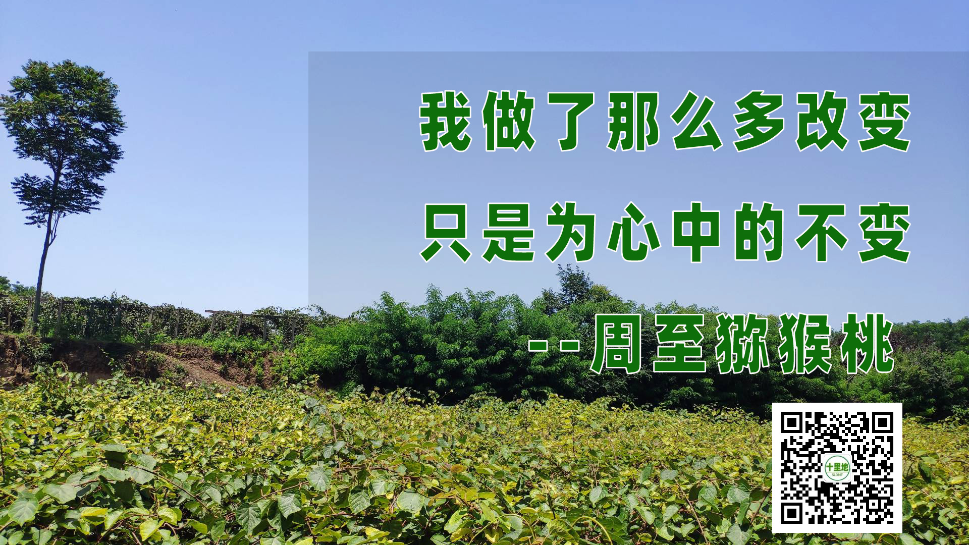我变了，我没变周至豪门国际猕猴桃一直没变主题图片宣传