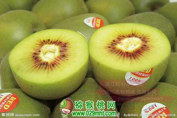豪门国际 2ac6f