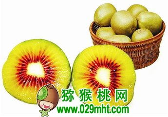 豪门国际官方网站图片