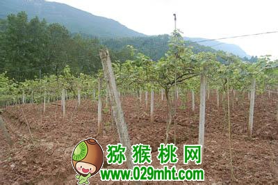 豪门国际官方网站图片