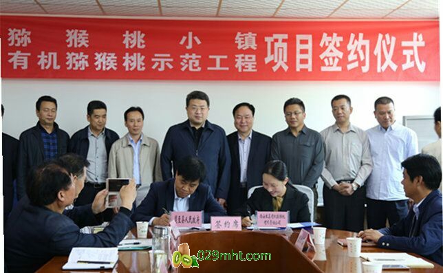 豪门国际官方网站图片