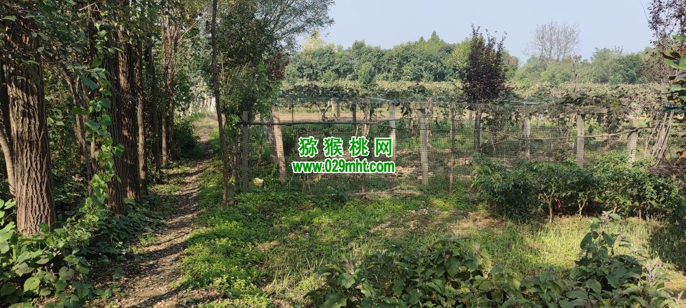 豪门国际 39b97