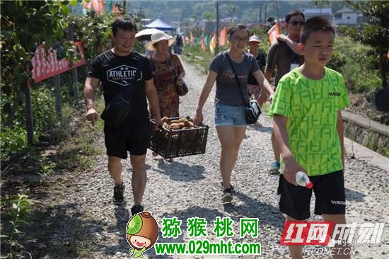 豪门国际官方网站图片
