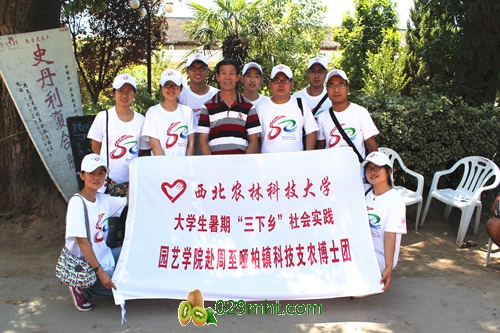 豪门国际 f3a63