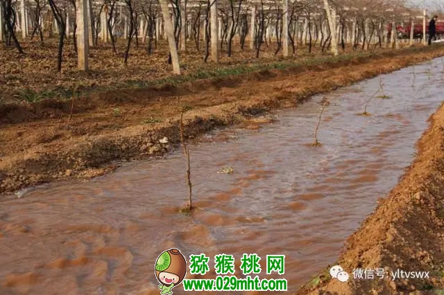 豪门国际官方网站图片