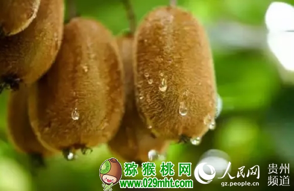 豪门国际官方网站图片
