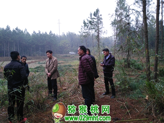 豪门国际官方网站图片