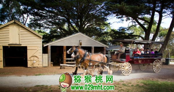 豪门国际官方网站图片