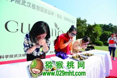 豪门国际官方网站图片
