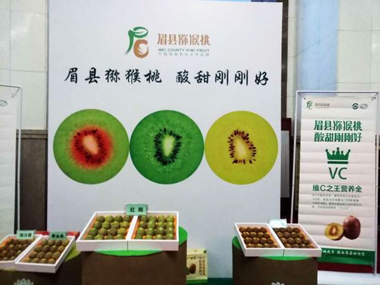 豪门国际官方网站图片