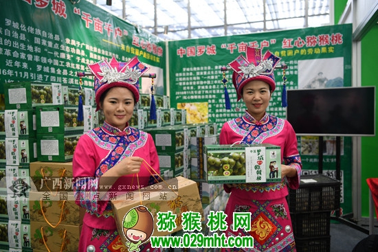 广西罗城<a href=http://www.linux-china.com/mht/hongxin/ target=_blank class=infotextkey />红心豪门国际猕猴桃</a>走俏深圳“绿博会”(组图)