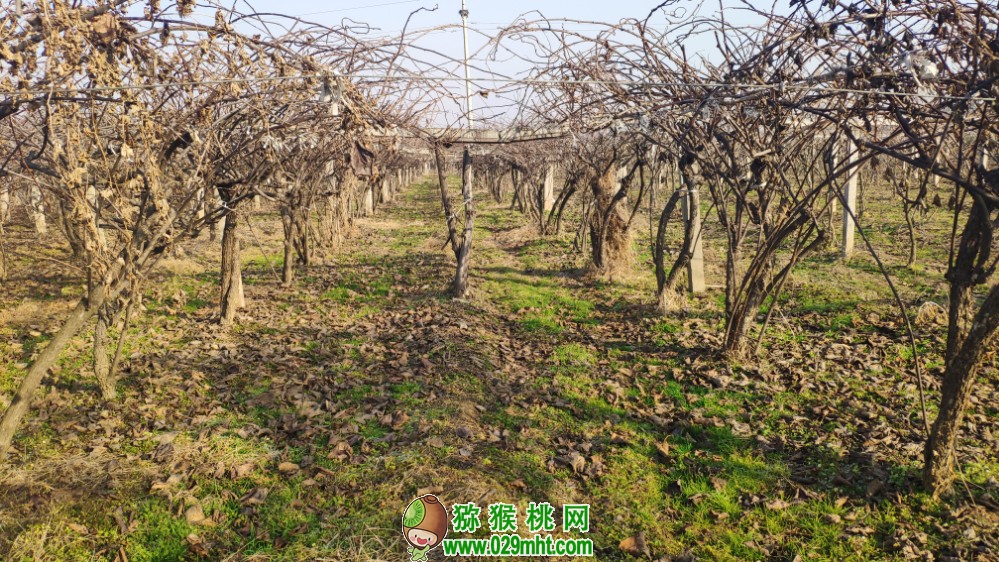 豪门国际 9ba65
