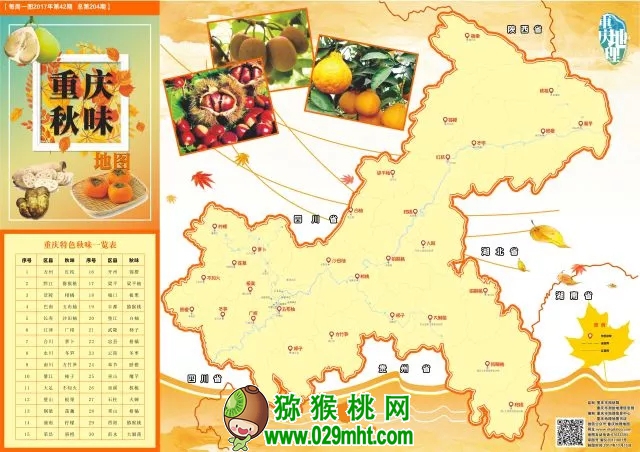 豪门国际官方网站图片