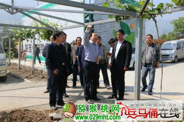 豪门国际 ec5ce
