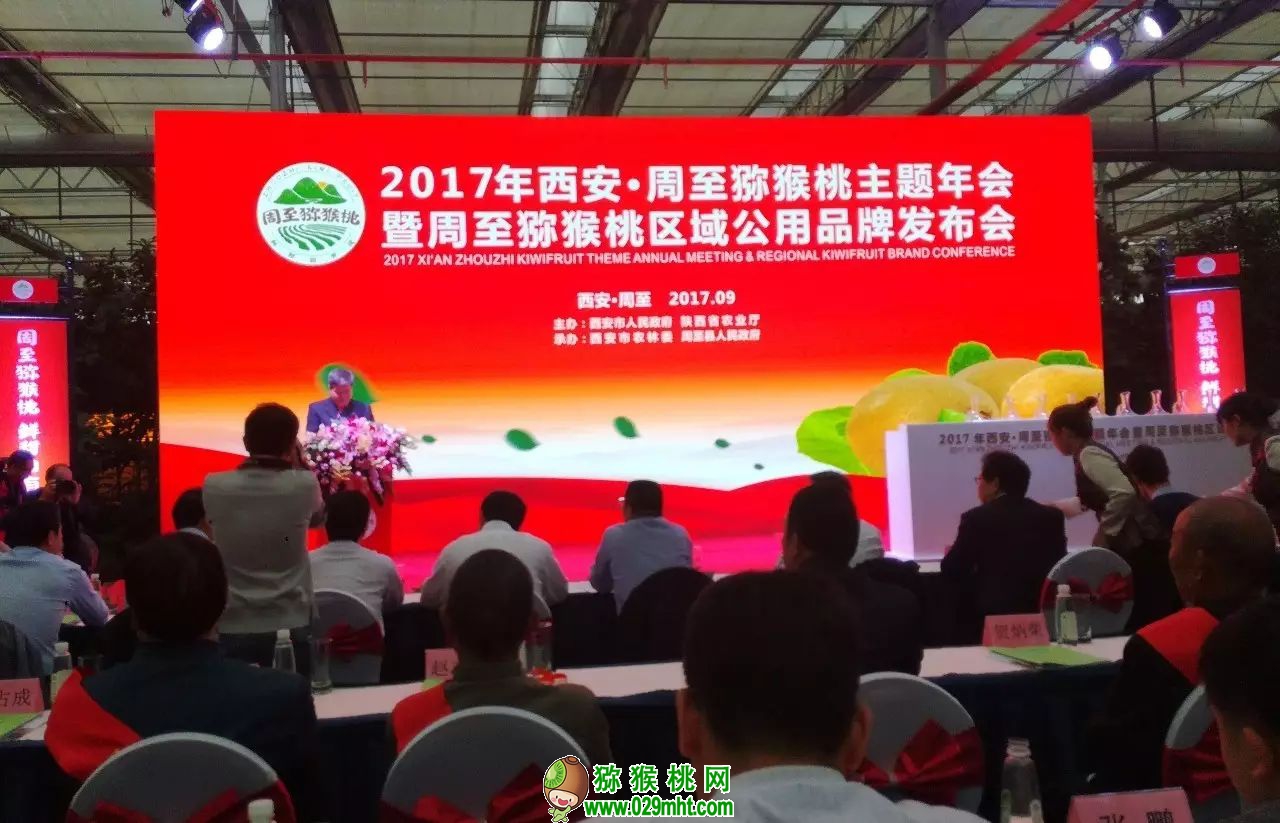 豪门国际官方网站图片