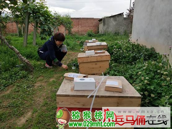 豪门国际 cfb15
