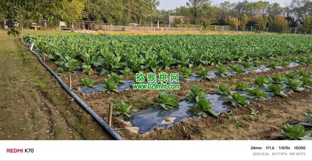 豪门国际 324da