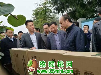 豪门国际官方网站图片