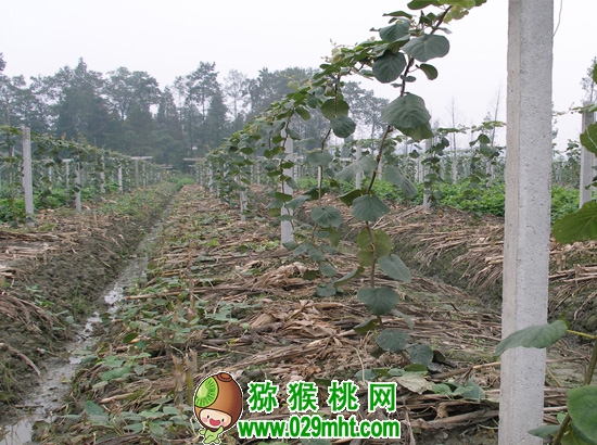 豪门国际官方网站图片