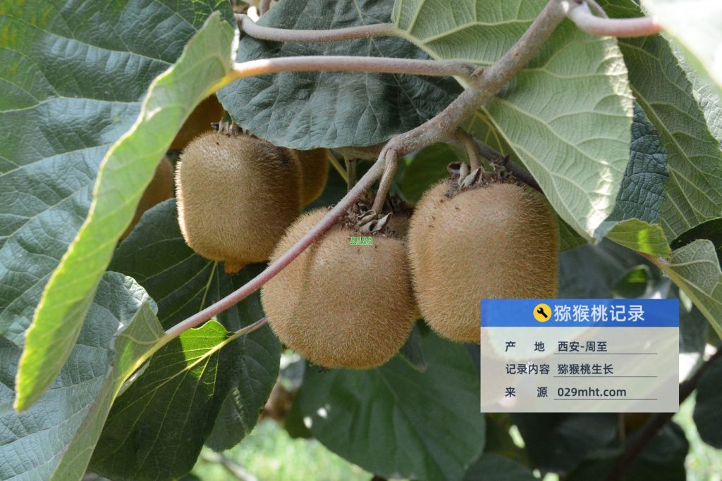 豪门国际官方网站图片