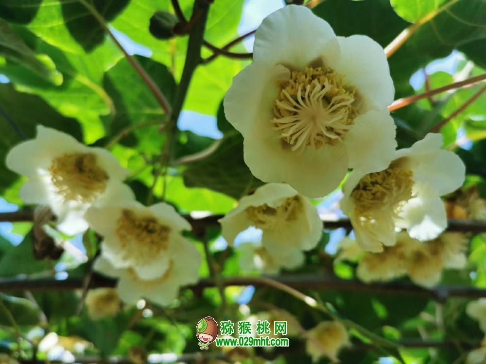 豪门国际官方网站图片