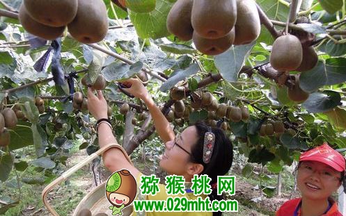 豪门国际官方网站图片