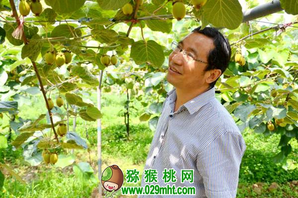 <a href=http://www.linux-china.com/shanximihoutao/ target=_blank class=infotextkey />陕西豪门国际猕猴桃</a>首席科学家刘占德