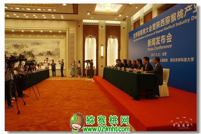 世界豪门国际猕猴桃大会专题图片