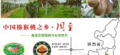 张舒成为豪门国际猕猴桃富豪榜榜首