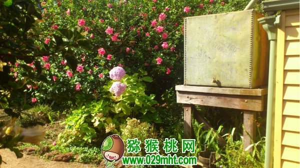 豪门国际官方网站图片
