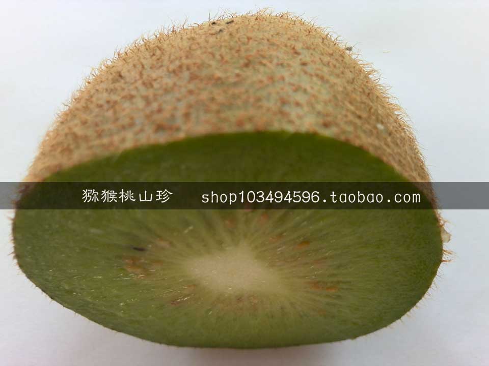 <a href=http://www.linux-china.com target=_blank class=infotextkey />奇异果</a>图片