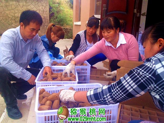 豪门国际官方网站图片