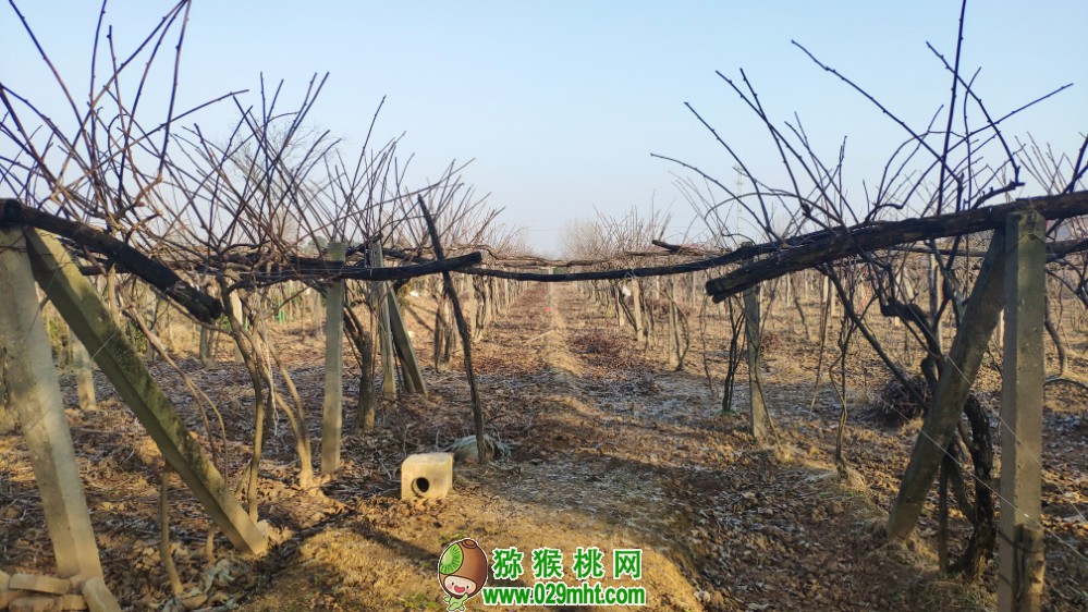 豪门国际 de3d8
