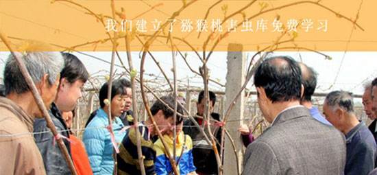 豪门国际猕猴桃病虫防害库.jpg