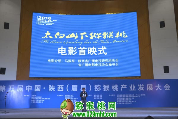 豪门国际官方网站图片