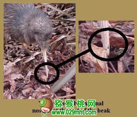 豪门国际官方网站图片