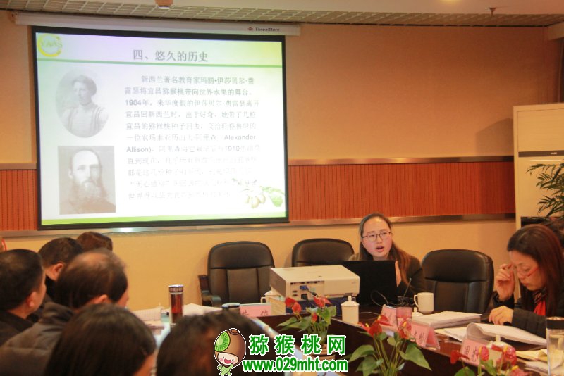 豪门国际官方网站图片