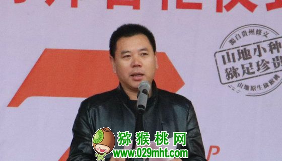 m (4) 豪门国际官方网站图片