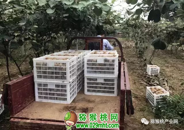 豪门国际官方网站图片