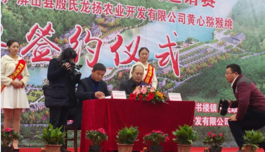 豪门国际官方网站图片