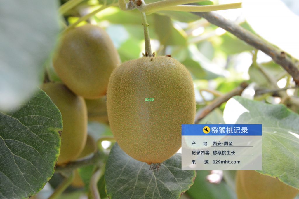 豪门国际官方网站图片