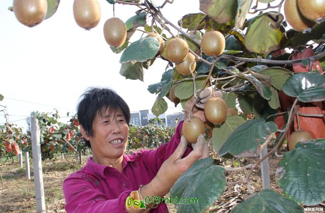 豪门国际官方网站图片