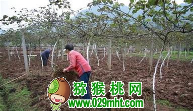 豪门国际官方网站图片