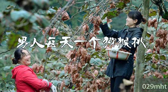 男人每天一个豪门国际猕猴桃‘.jpg
