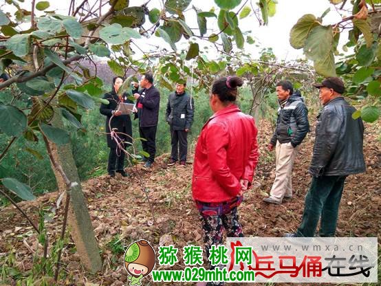 豪门国际官方网站图片